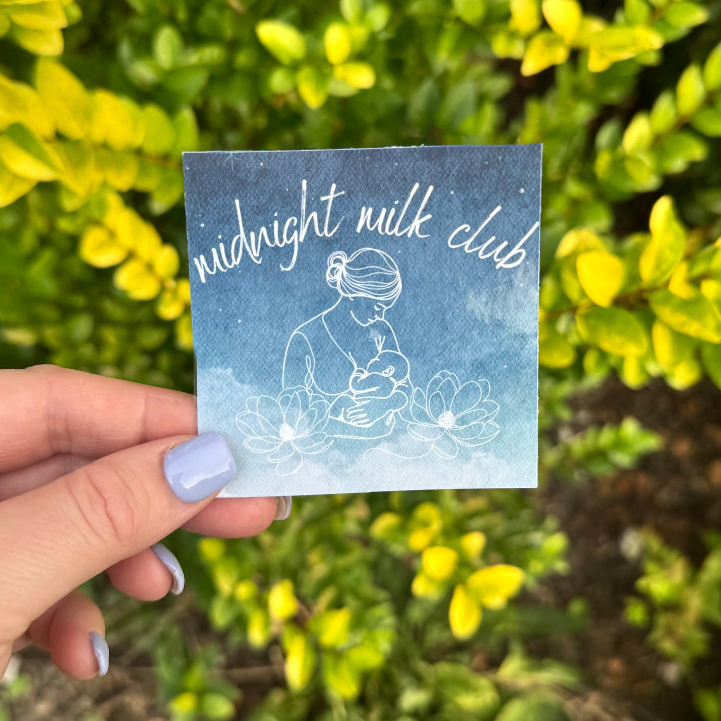 Midnight Milk Club