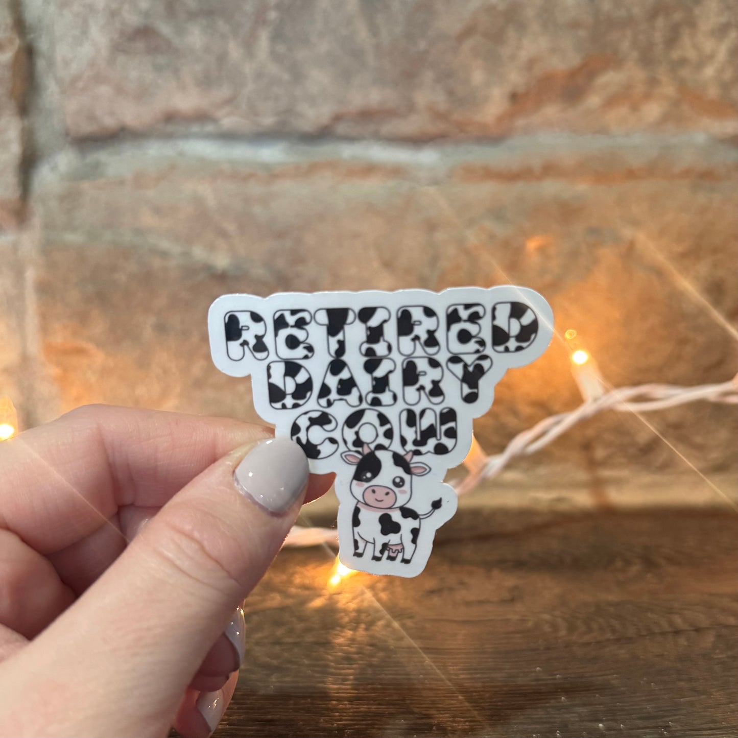 Retired Dairy Cow