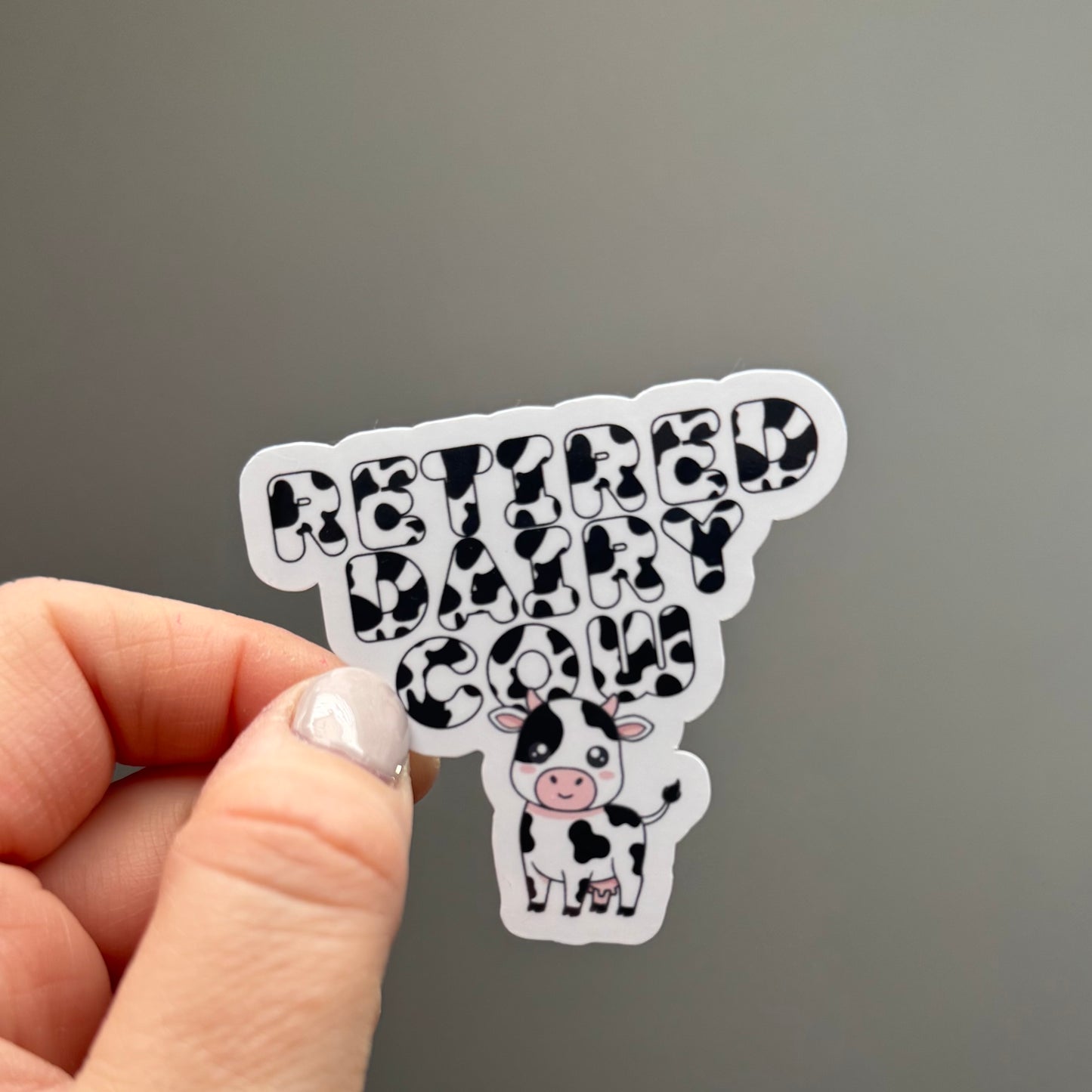 Retired Dairy Cow